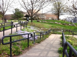 Path 1615 Fall of Ohio